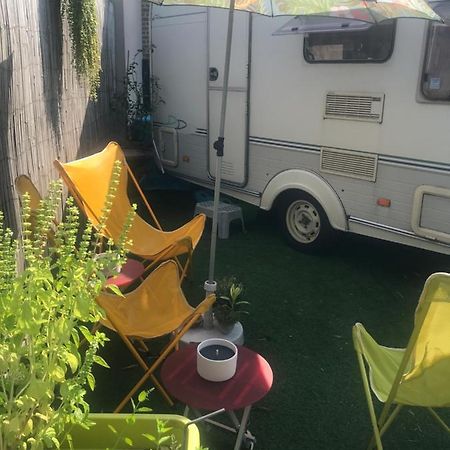 Gardencaravan Near Ghent In Green Area Bagian luar foto