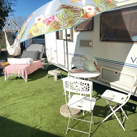 Gardencaravan Near Ghent In Green Area Bagian luar foto