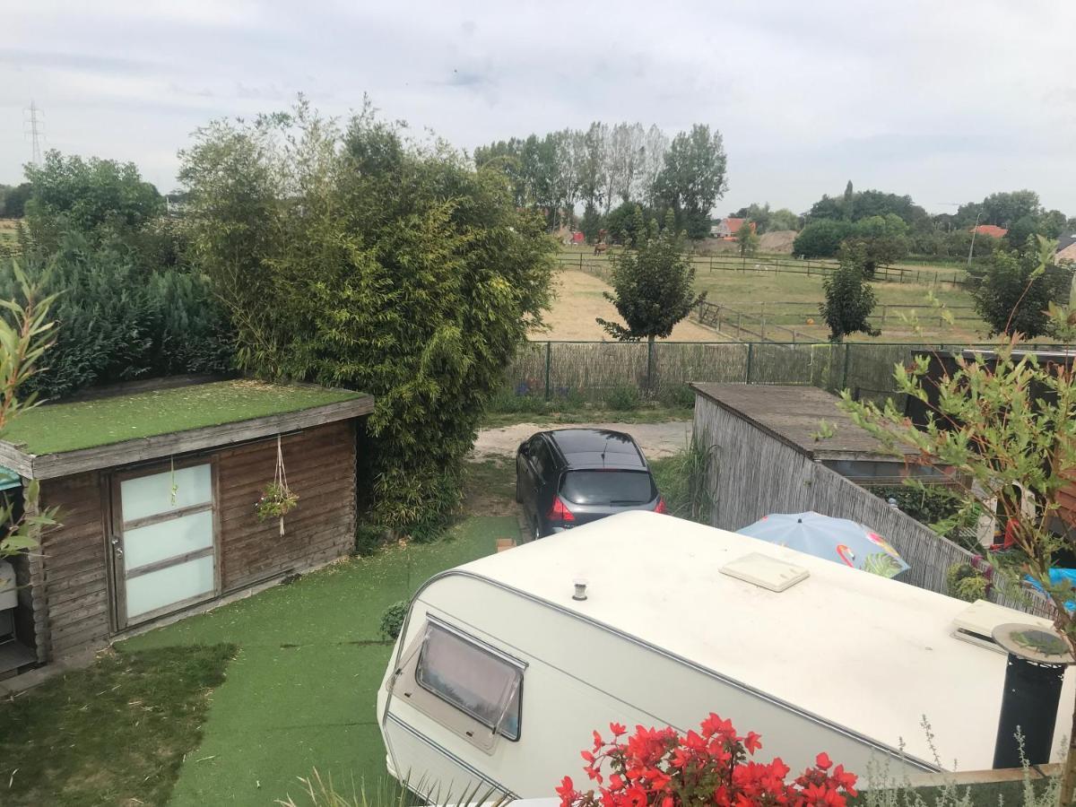 Gardencaravan Near Ghent In Green Area Bagian luar foto